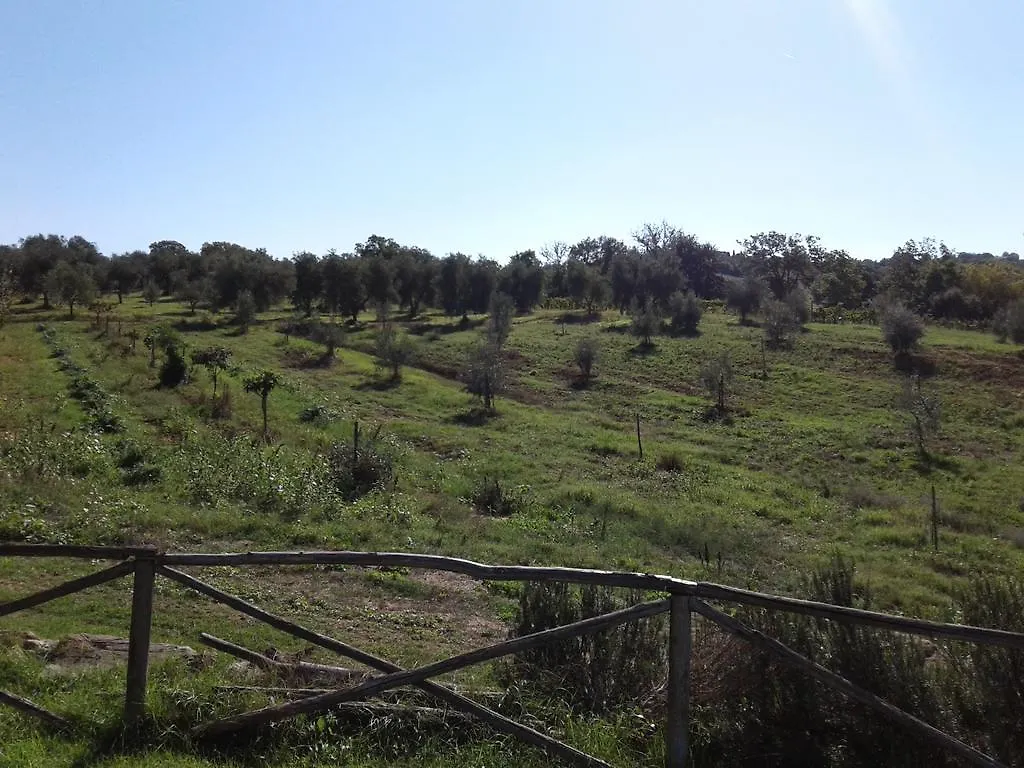 Agriturismo Saragiolo Manciano